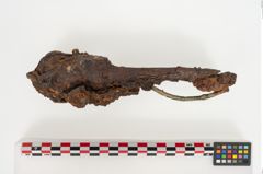 Foto von Eisenschaftlappenbeil (NHMW-PRAE-024556)